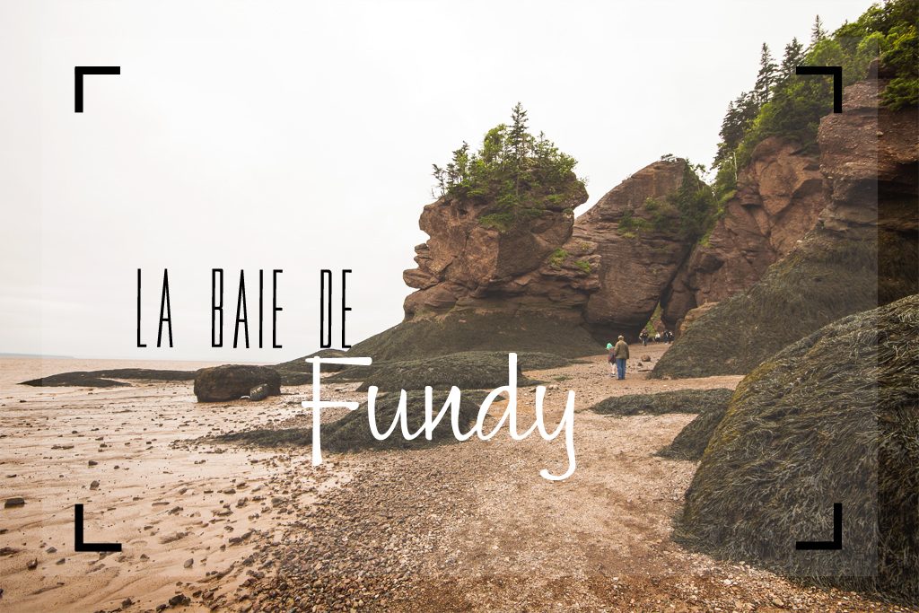 Canada-Fundy-Cover
