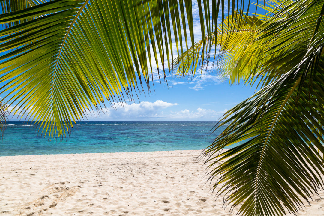 Les îles Samoa | Savai’i et ses merveilles – Stories of inspiration